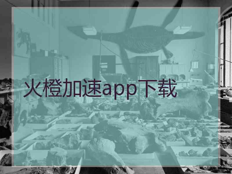 火橙加速app下载