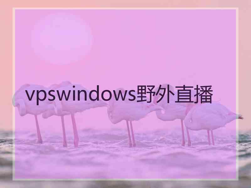 vpswindows野外直播