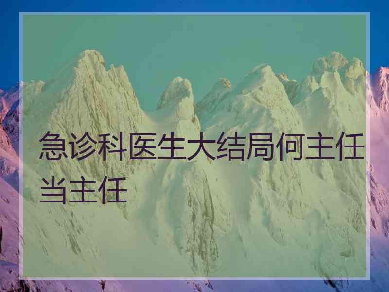 急诊科医生大结局何主任当主任