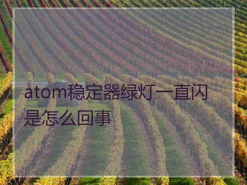 atom稳定器绿灯一直闪是怎么回事