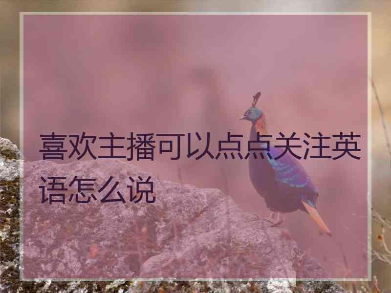 喜欢主播可以点点关注英语怎么说