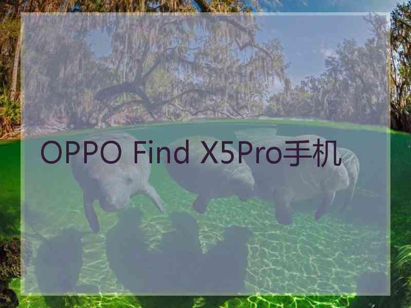 OPPO Find X5Pro手机