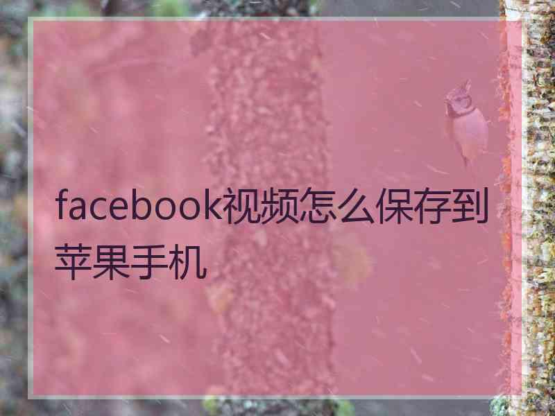 facebook视频怎么保存到苹果手机