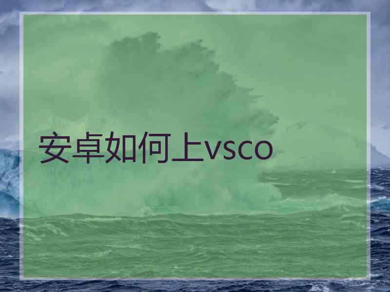 安卓如何上vsco