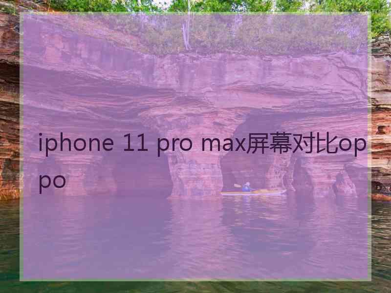 iphone 11 pro max屏幕对比oppo