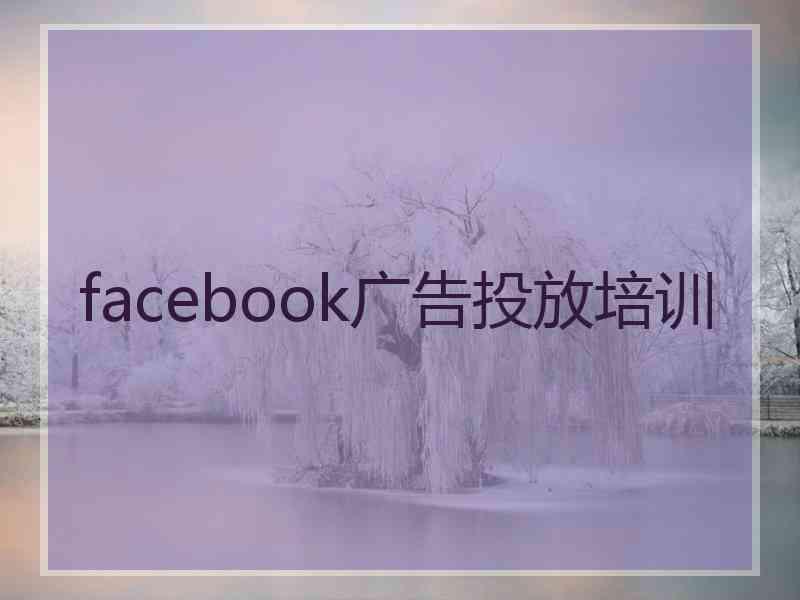 facebook广告投放培训