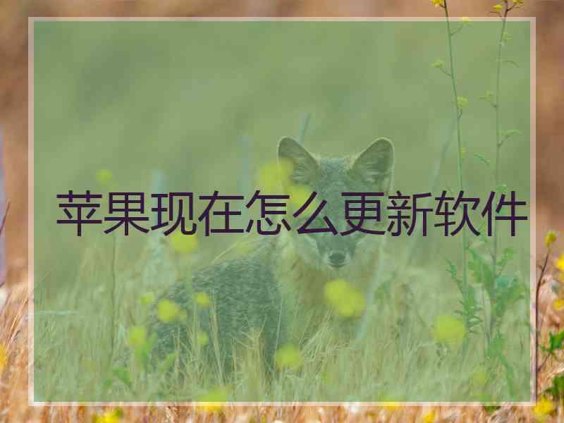 苹果现在怎么更新软件