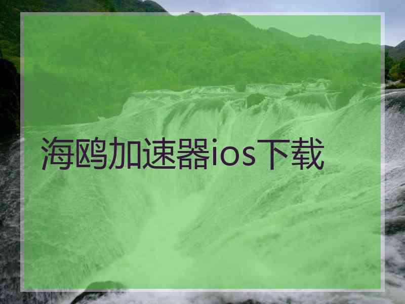 海鸥加速器ios下载