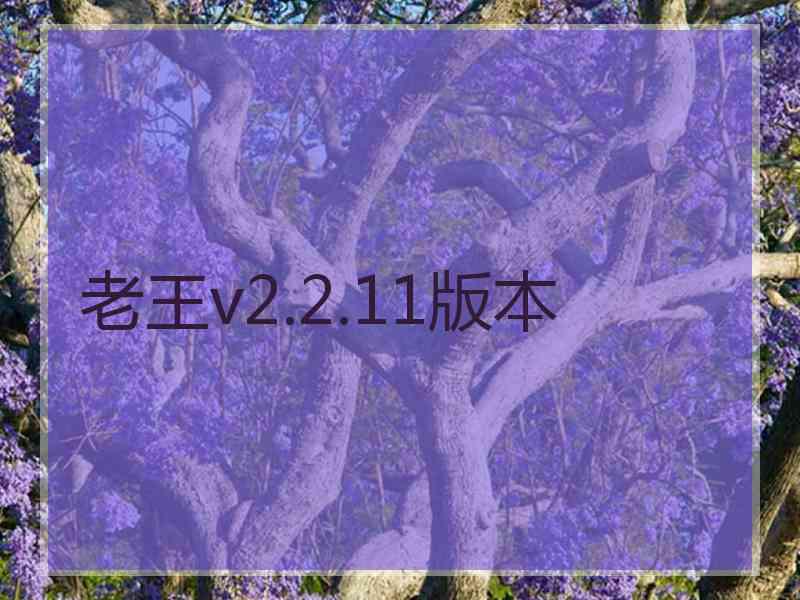 老王v2.2.11版本