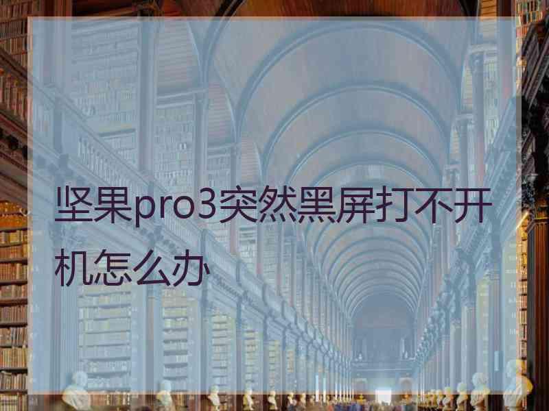 坚果pro3突然黑屏打不开机怎么办