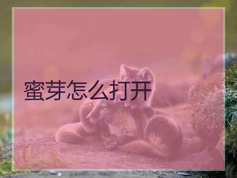 蜜芽怎么打开