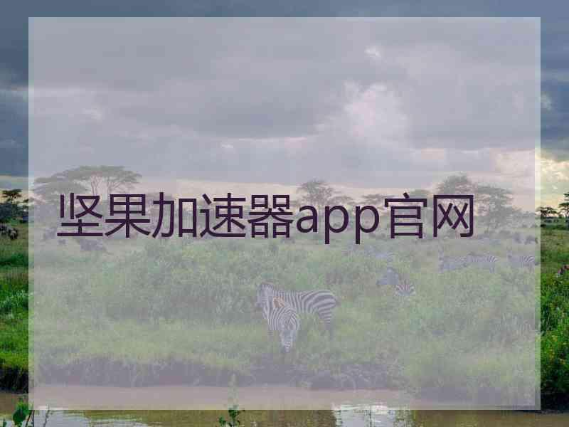 坚果加速器app官网