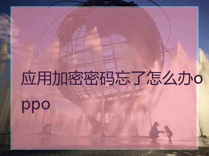 应用加密密码忘了怎么办oppo