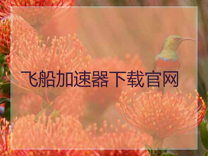 飞船加速器下载官网