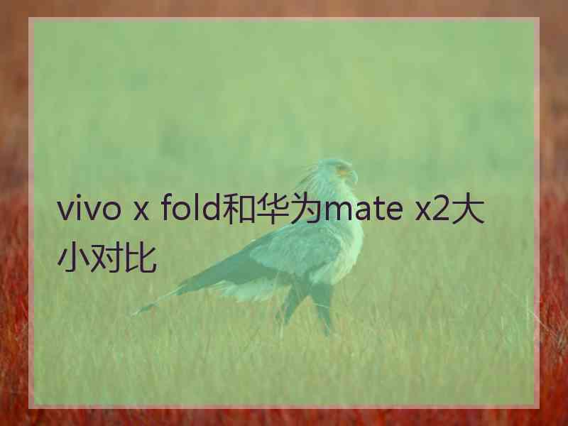 vivo x fold和华为mate x2大小对比