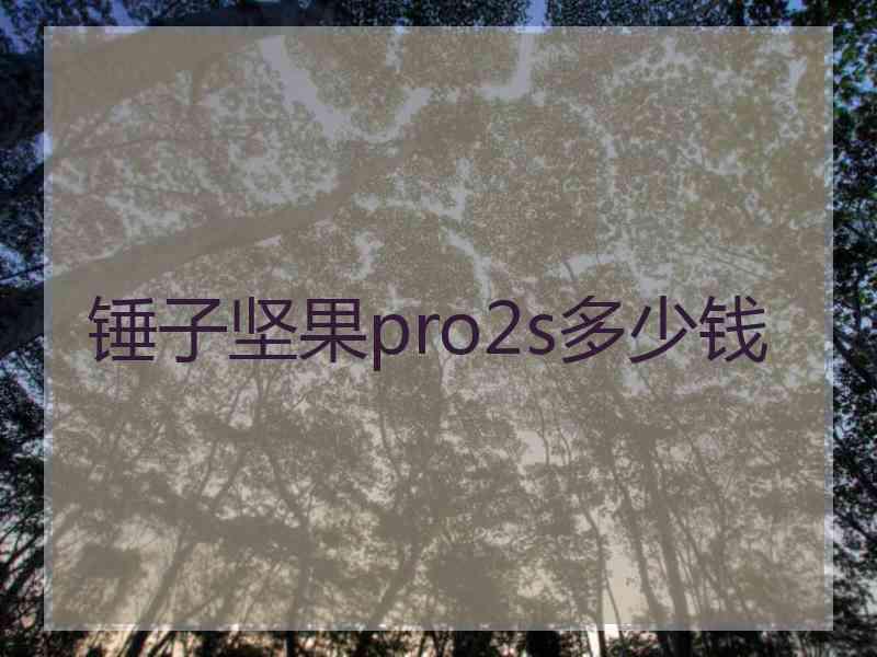 锤子坚果pro2s多少钱