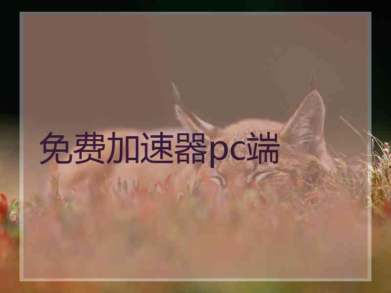 免费加速器pc端