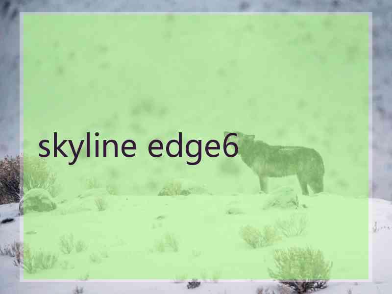 skyline edge6