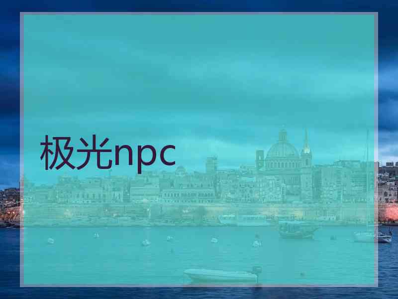 极光npc