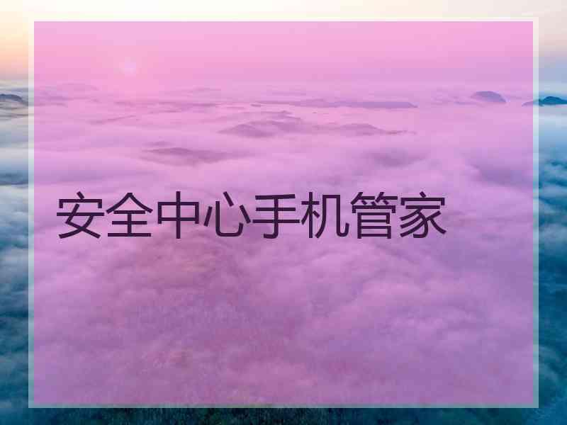 安全中心手机管家