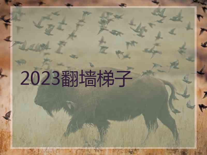 2023翻墙梯子