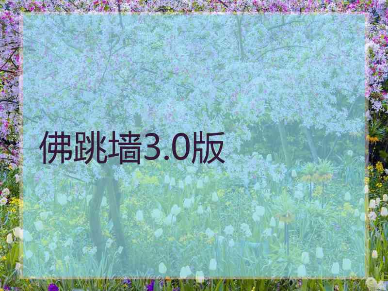 佛跳墙3.0版