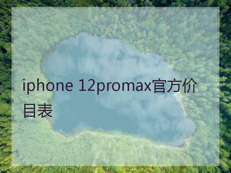 iphone 12promax官方价目表