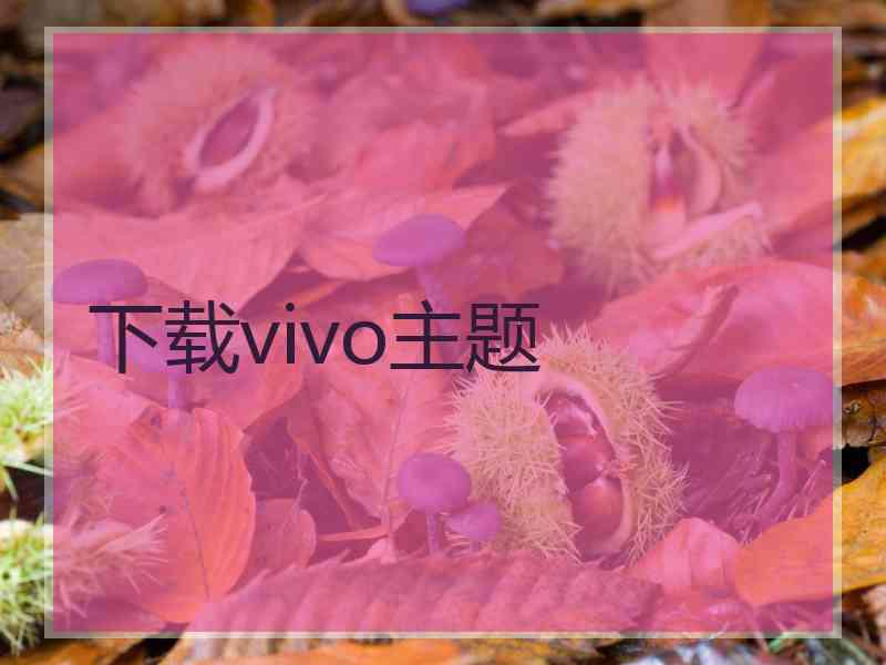 下载vivo主题