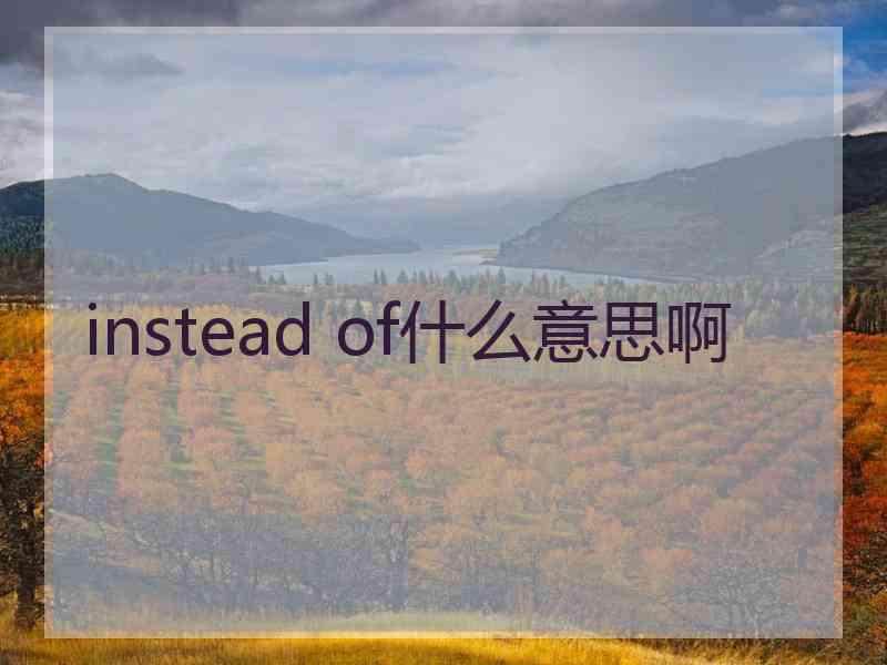 instead of什么意思啊