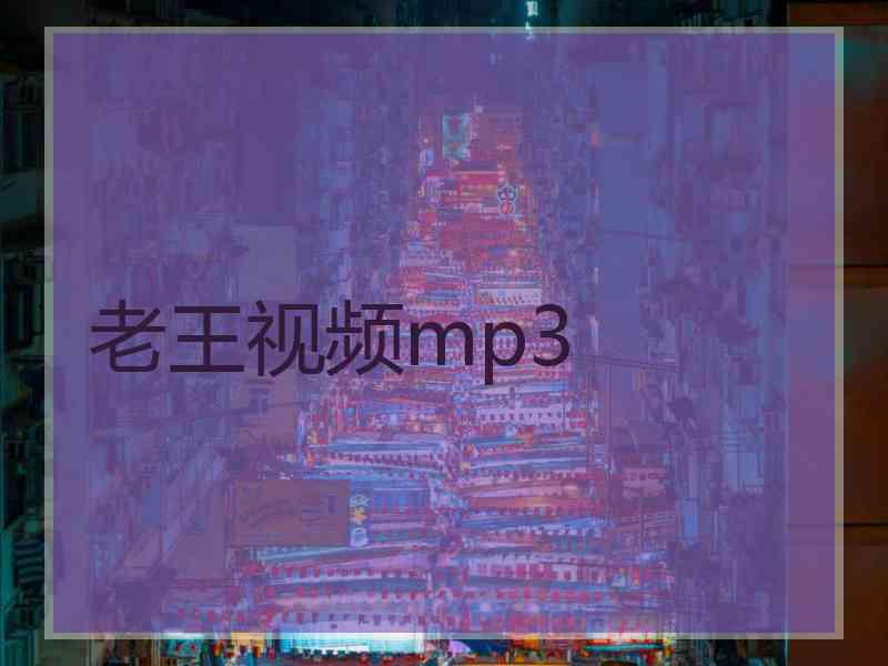 老王视频mp3