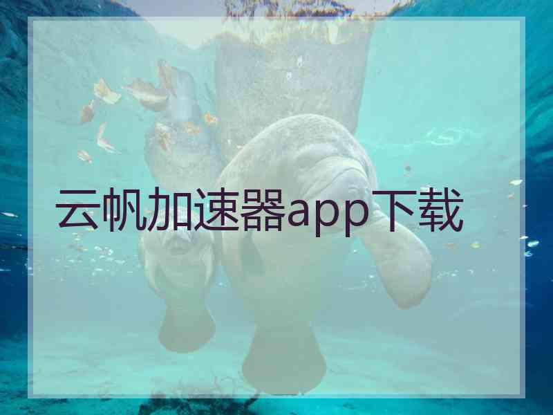 云帆加速器app下载