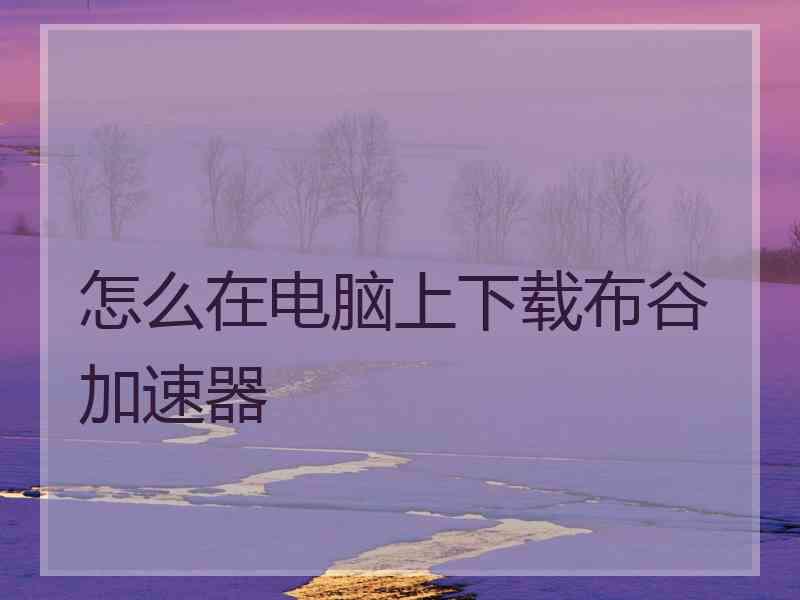 怎么在电脑上下载布谷加速器