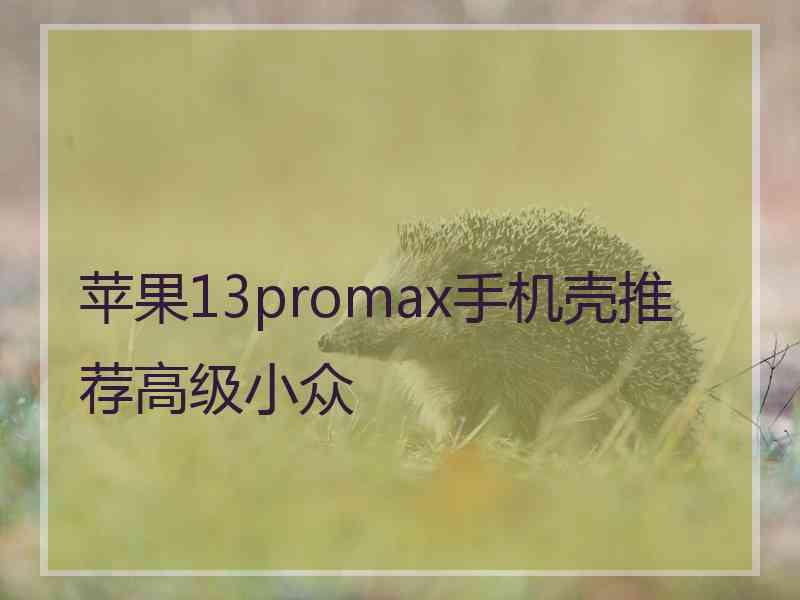 苹果13promax手机壳推荐高级小众