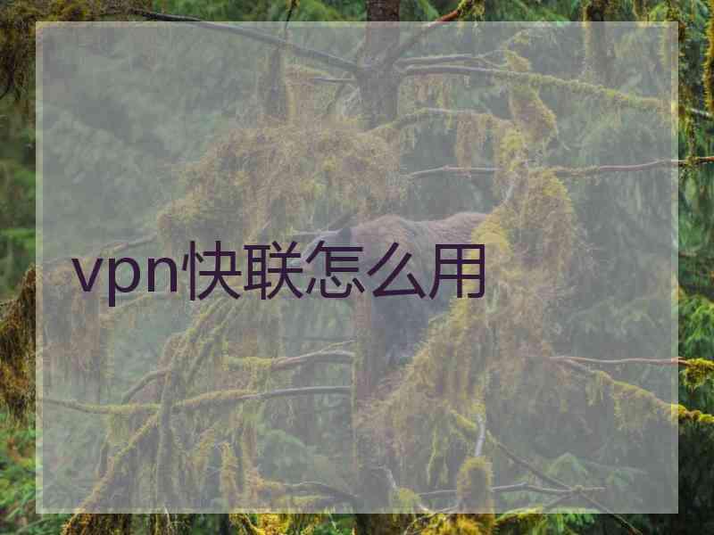 vpn快联怎么用