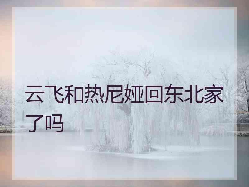 云飞和热尼娅回东北家了吗