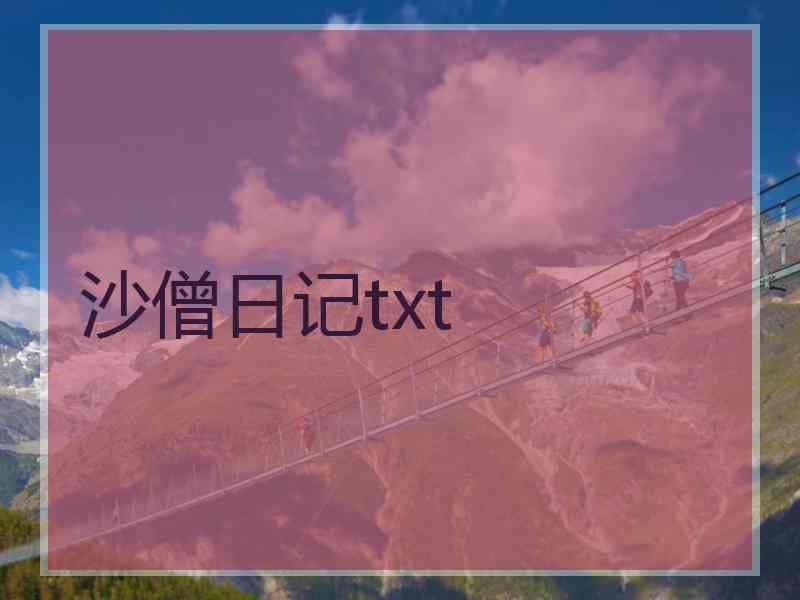 沙僧日记txt