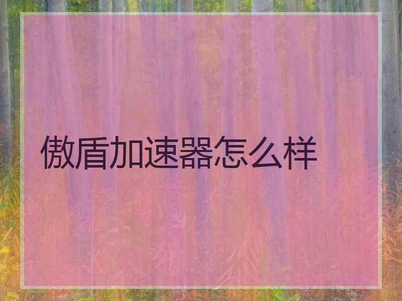 傲盾加速器怎么样