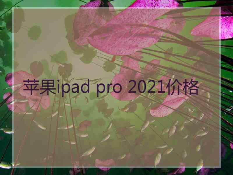 苹果ipad pro 2021价格