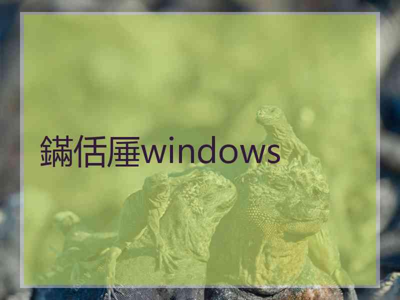 鏋佸厜windows