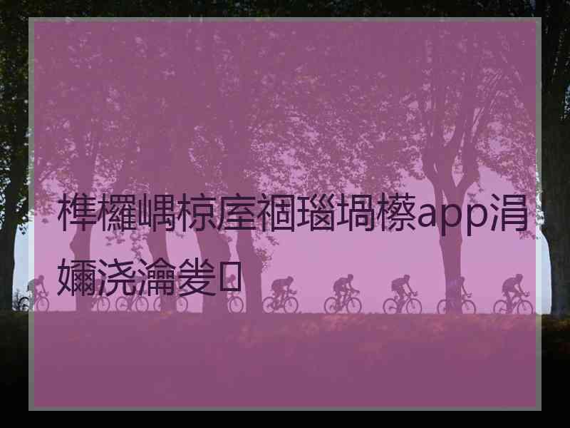 榫欏嵎椋庢祻瑙堝櫒app涓嬭浇瀹夎