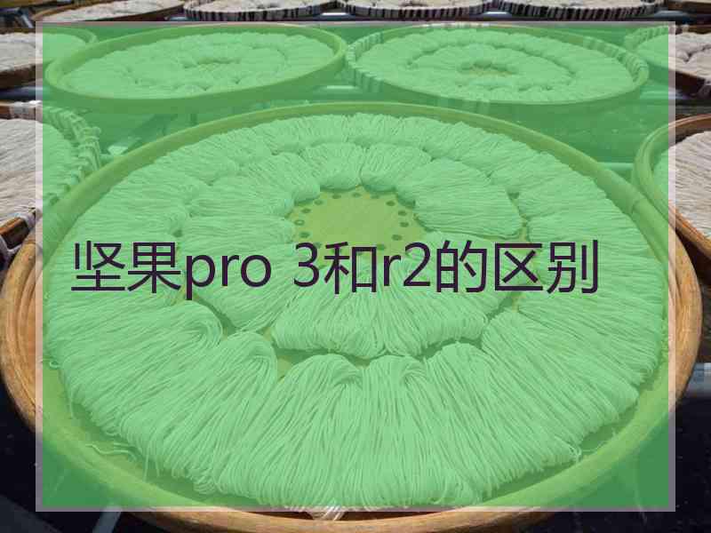 坚果pro 3和r2的区别