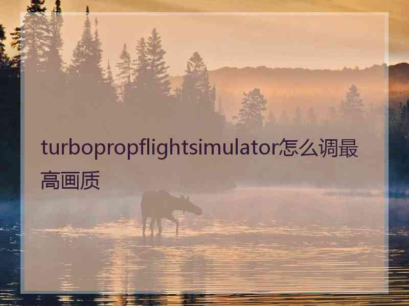 turbopropflightsimulator怎么调最高画质