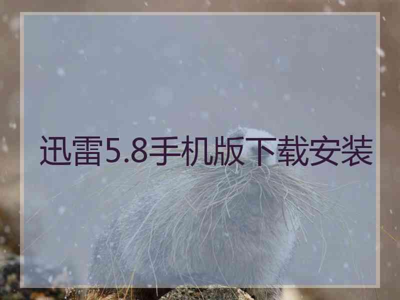 迅雷5.8手机版下载安装