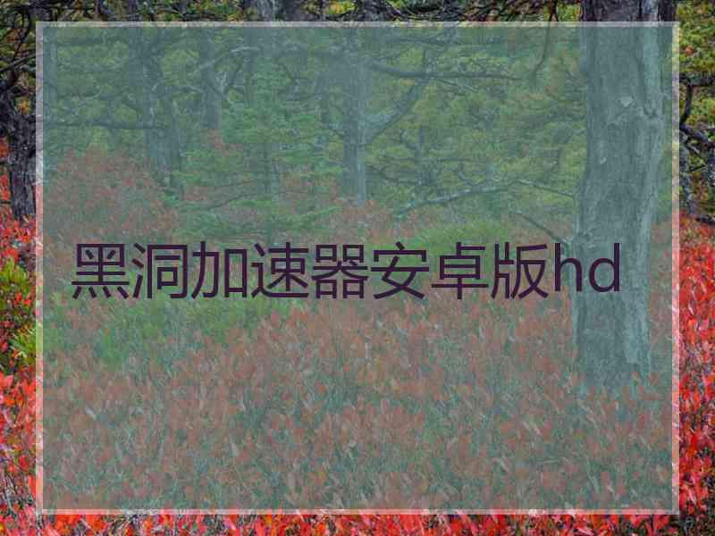 黑洞加速器安卓版hd