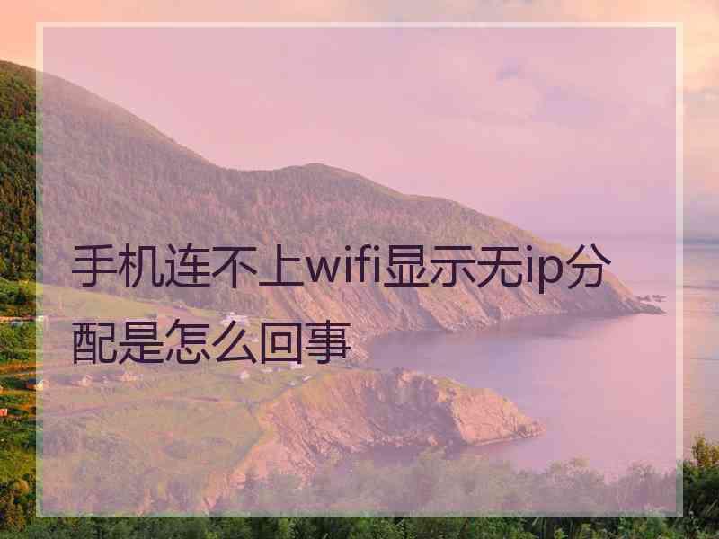 手机连不上wifi显示无ip分配是怎么回事