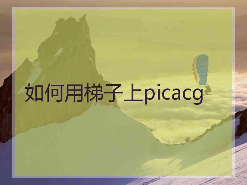 如何用梯子上picacg