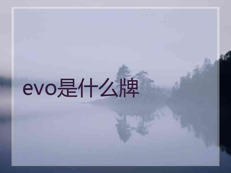 evo是什么牌