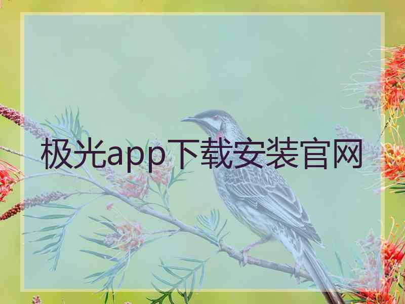 极光app下载安装官网