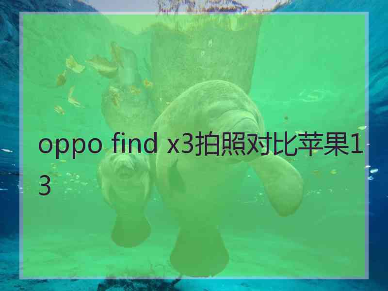 oppo find x3拍照对比苹果13