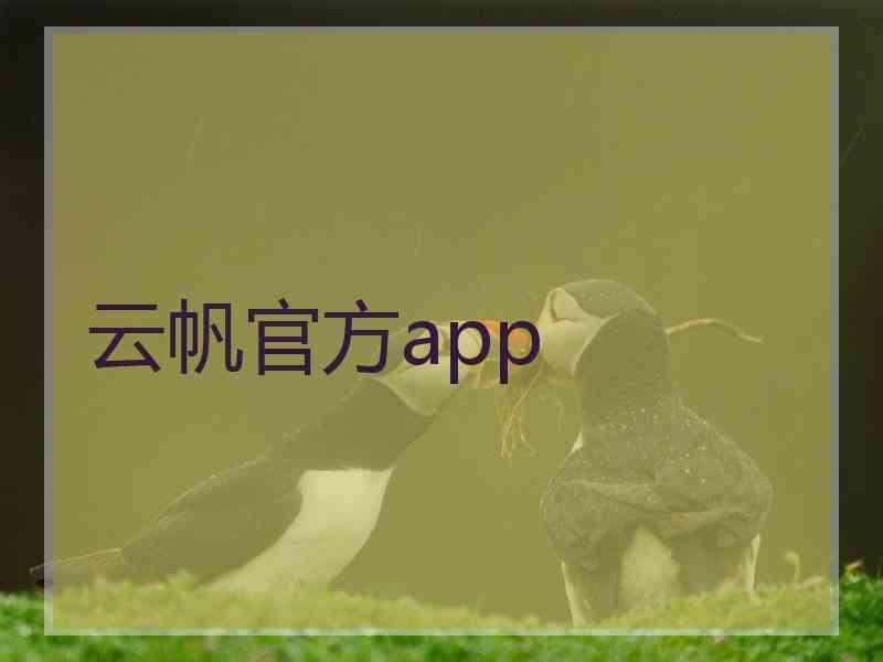 云帆官方app